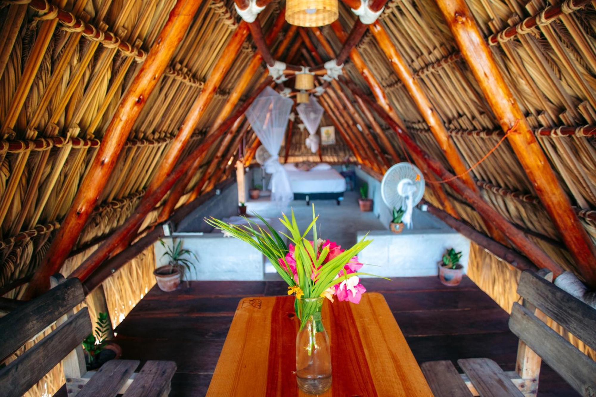 Cocori Lodge Paredon El Paredon Buena Vista Ngoại thất bức ảnh