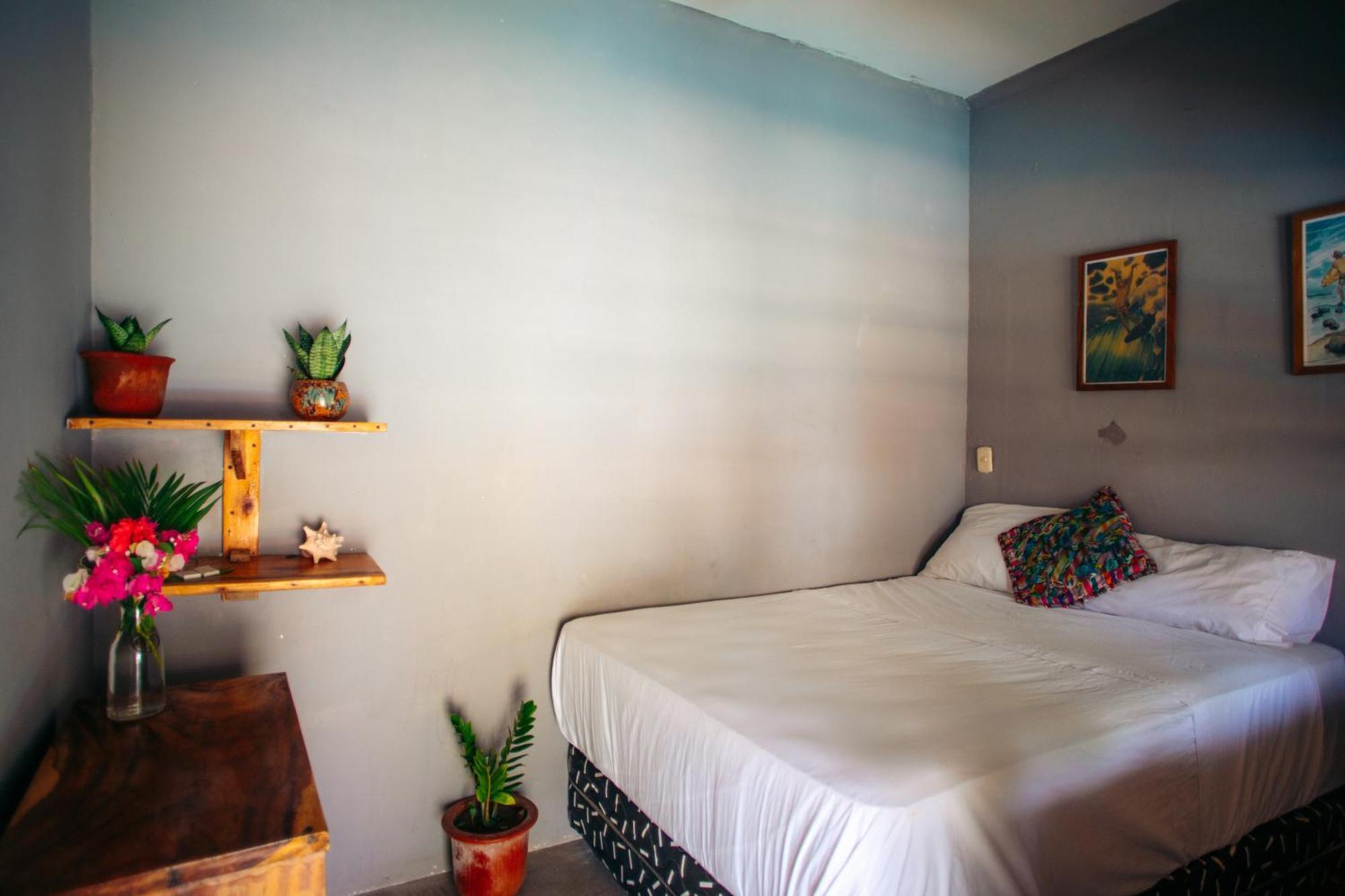 Cocori Lodge Paredon El Paredon Buena Vista Ngoại thất bức ảnh