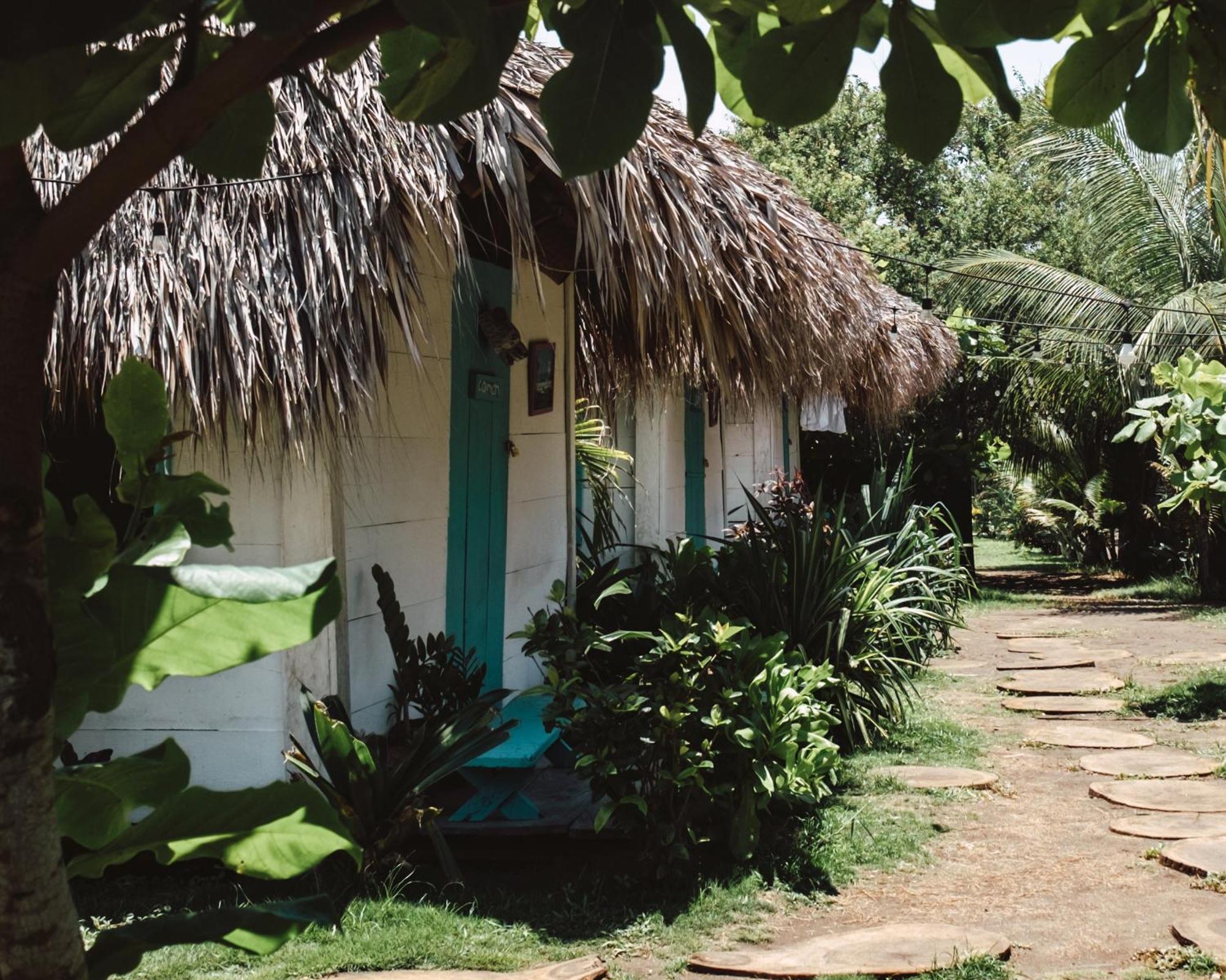 Cocori Lodge Paredon El Paredon Buena Vista Ngoại thất bức ảnh