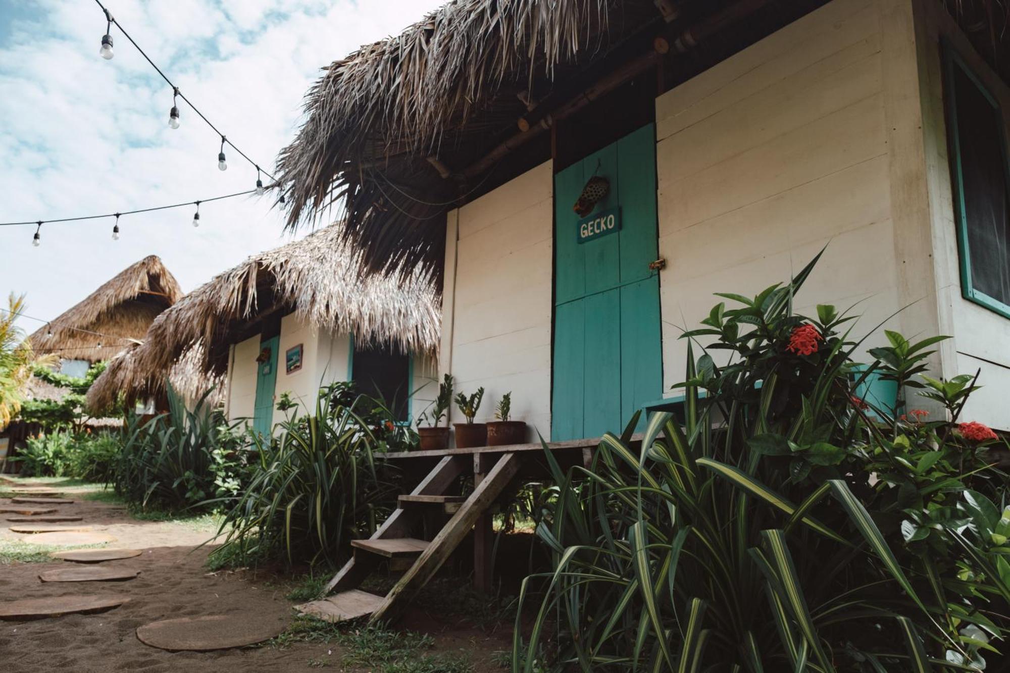 Cocori Lodge Paredon El Paredon Buena Vista Ngoại thất bức ảnh