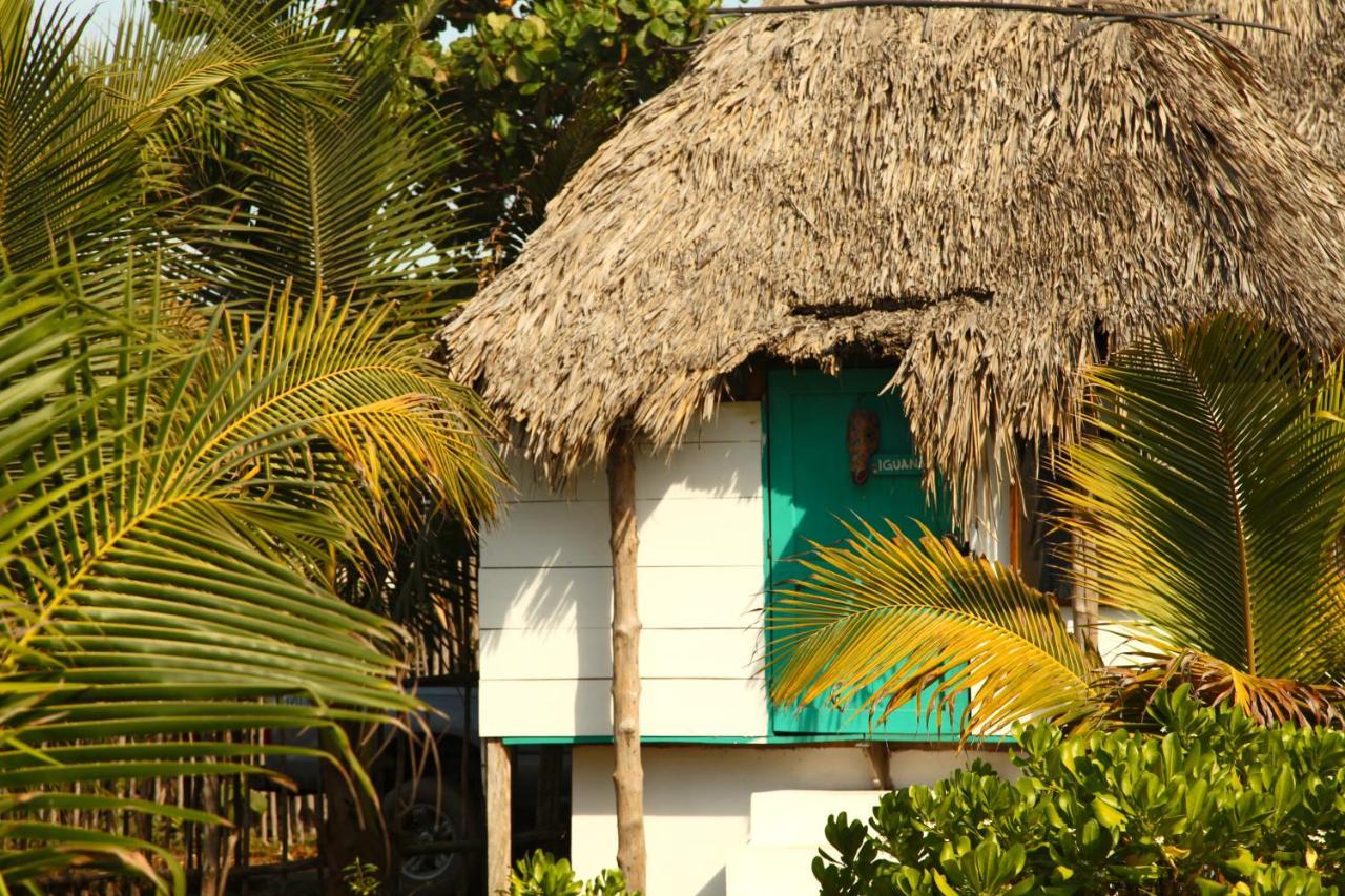 Cocori Lodge Paredon El Paredon Buena Vista Ngoại thất bức ảnh