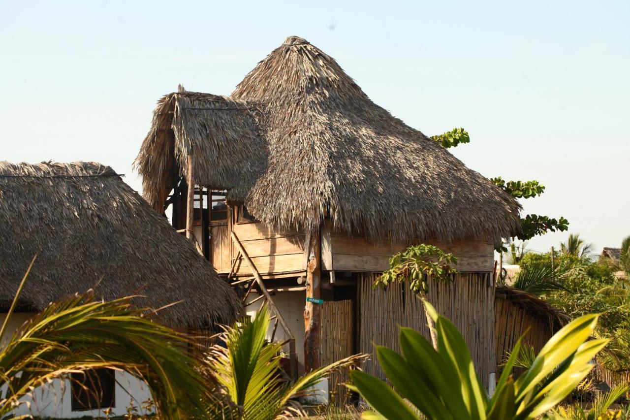Cocori Lodge Paredon El Paredon Buena Vista Ngoại thất bức ảnh