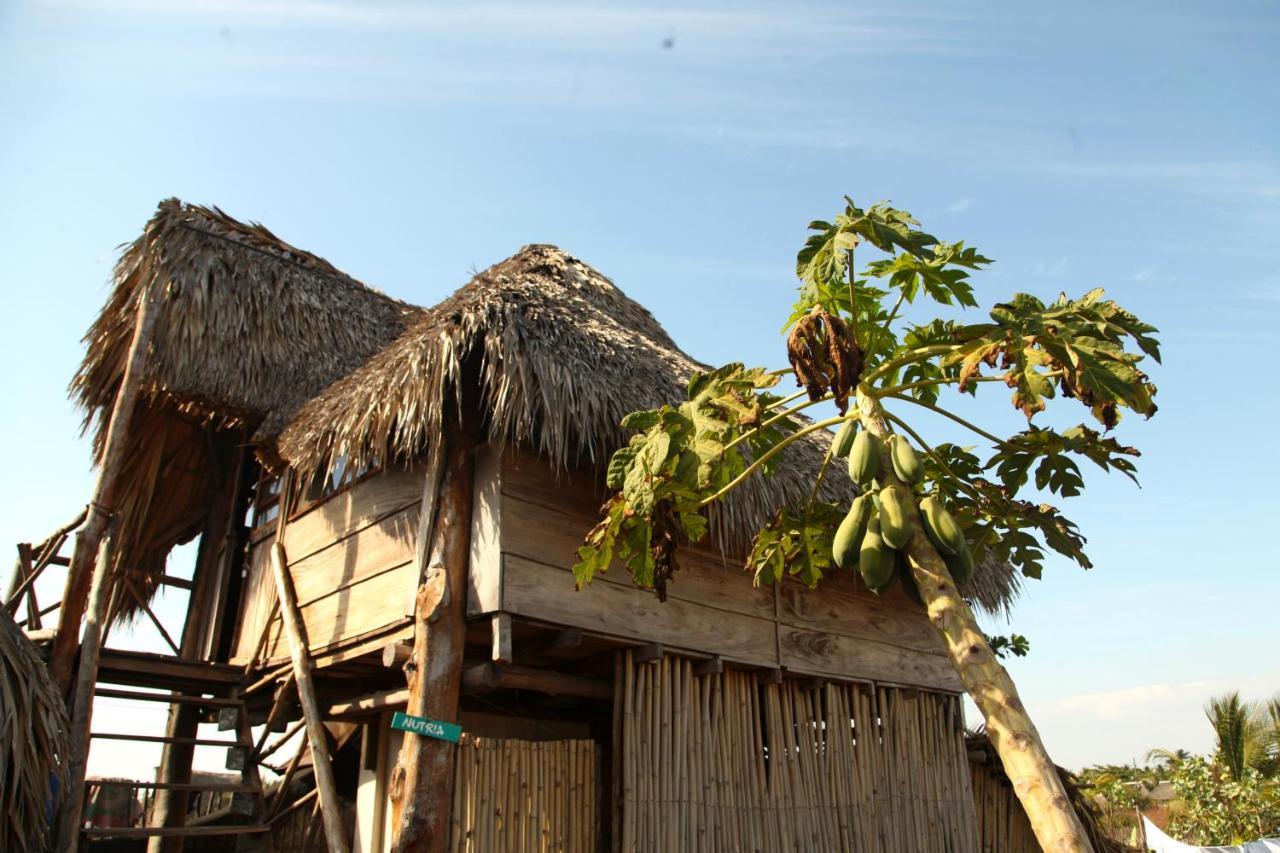 Cocori Lodge Paredon El Paredon Buena Vista Ngoại thất bức ảnh
