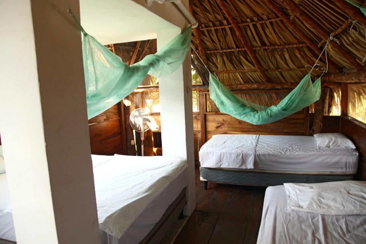 Cocori Lodge Paredon El Paredon Buena Vista Ngoại thất bức ảnh