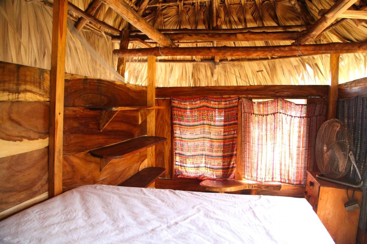 Cocori Lodge Paredon El Paredon Buena Vista Ngoại thất bức ảnh