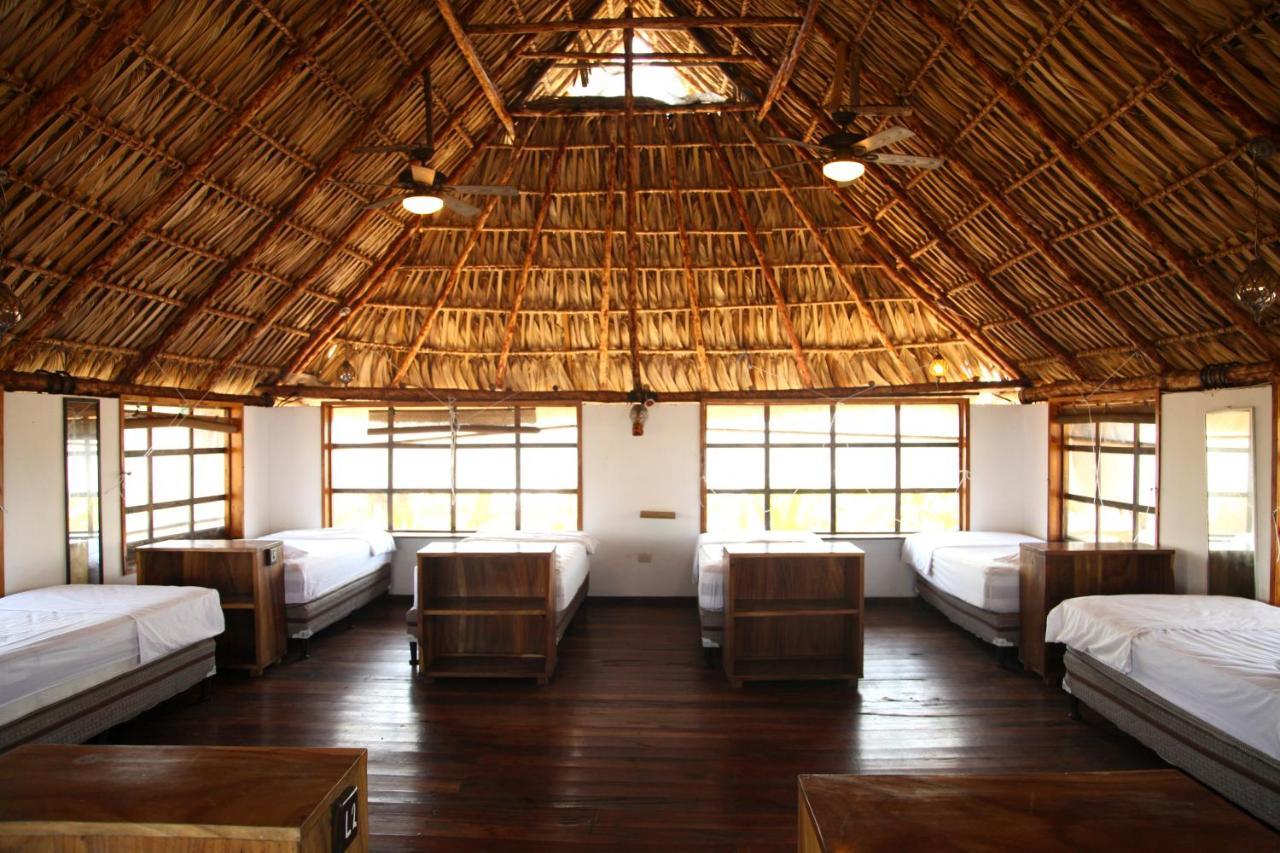 Cocori Lodge Paredon El Paredon Buena Vista Ngoại thất bức ảnh