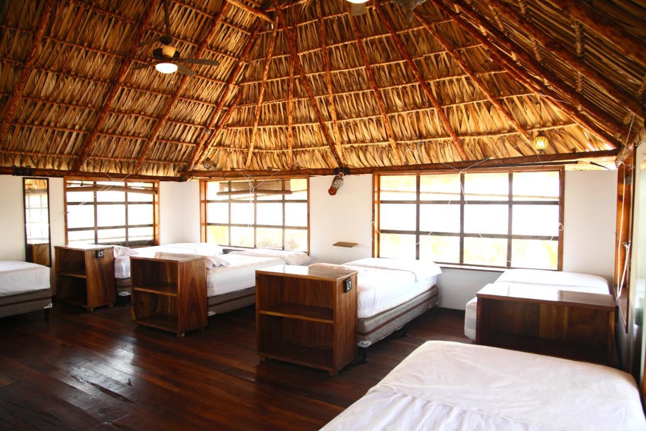 Cocori Lodge Paredon El Paredon Buena Vista Ngoại thất bức ảnh