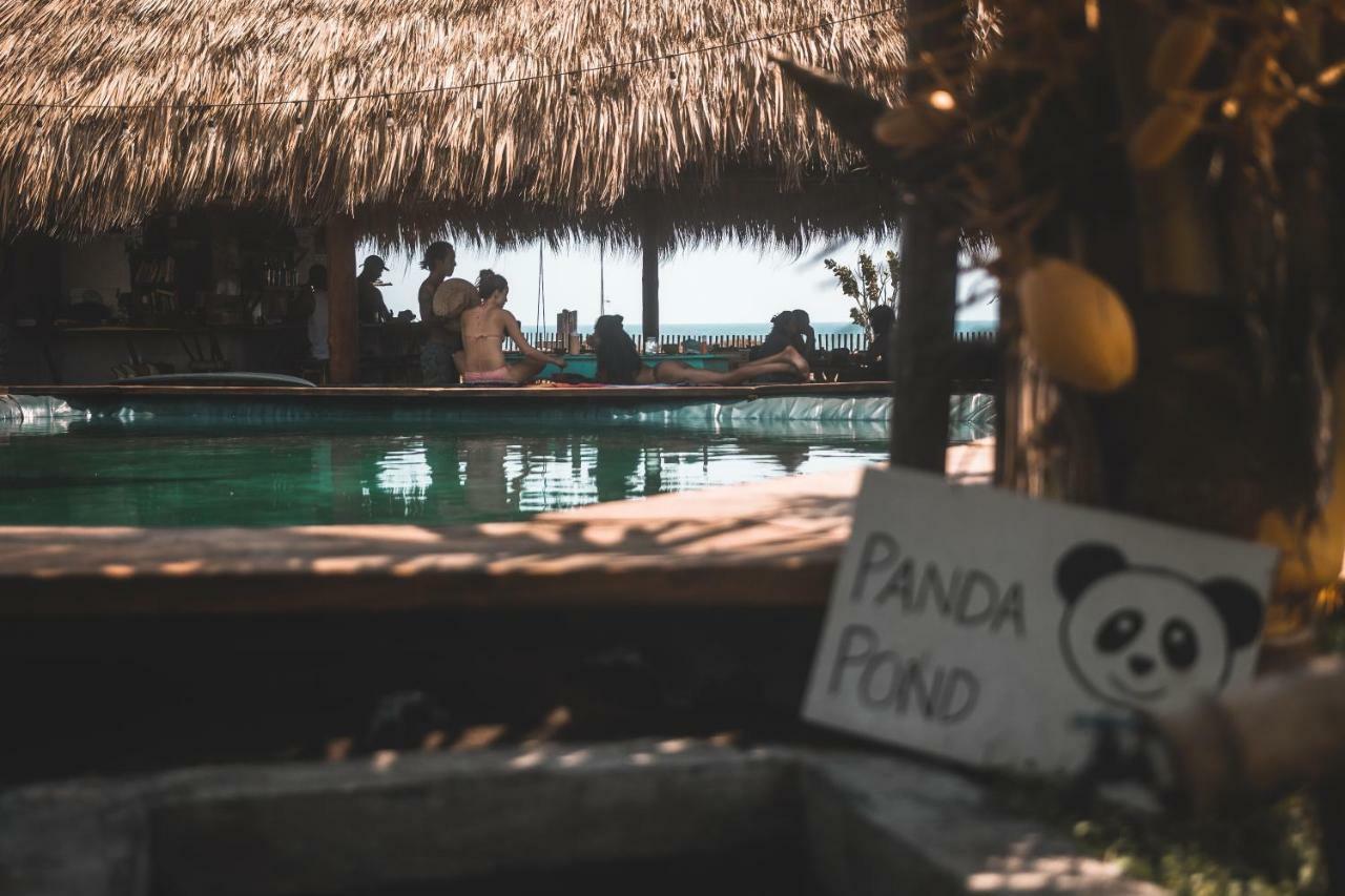 Cocori Lodge Paredon El Paredon Buena Vista Ngoại thất bức ảnh